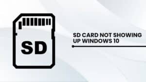 SD card not showing up windows 10